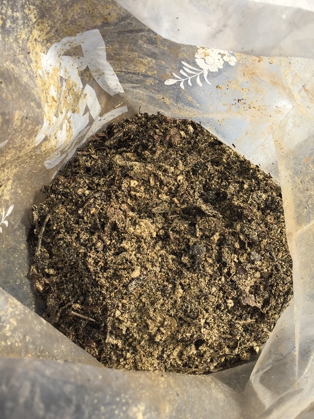 【畑・無肥料自然農】発酵腐葉土を仕込む！～たまねぎの追肥、夏野菜の土づくりのための微生物の活性化方法～ 農暦ブログ