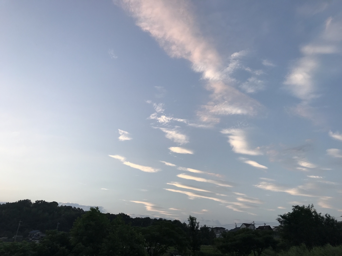 f:id:en_shin_no_chikara:20190817004734j:plain