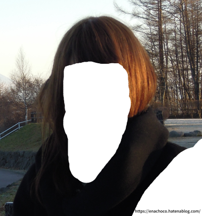 f:id:enachoco:20210409094019p:plain