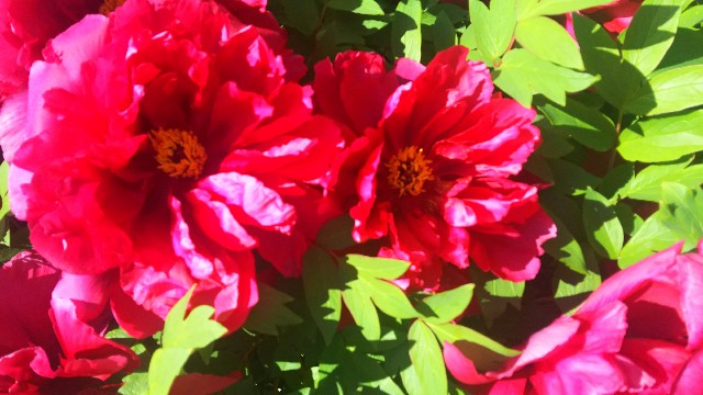 f:id:enaena38:20190928190553j:image f:id:enaena38:20190928190553j:image