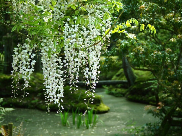 f:id:enaga10:20150501183040j:image f:id:enaga10:20150501183040j:image