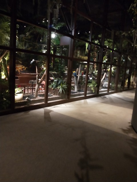 f:id:enagakun:20210603101427j:image f:id:enagakun:20210603101427j:image