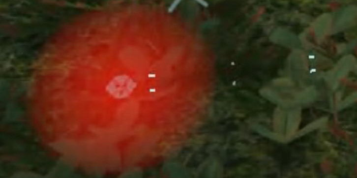 f:id:enaochannel:20191111231732j:plain