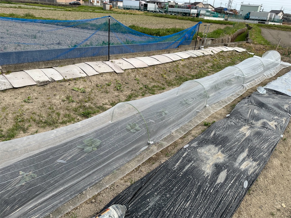 f:id:enaochannel:20250415125053j:image