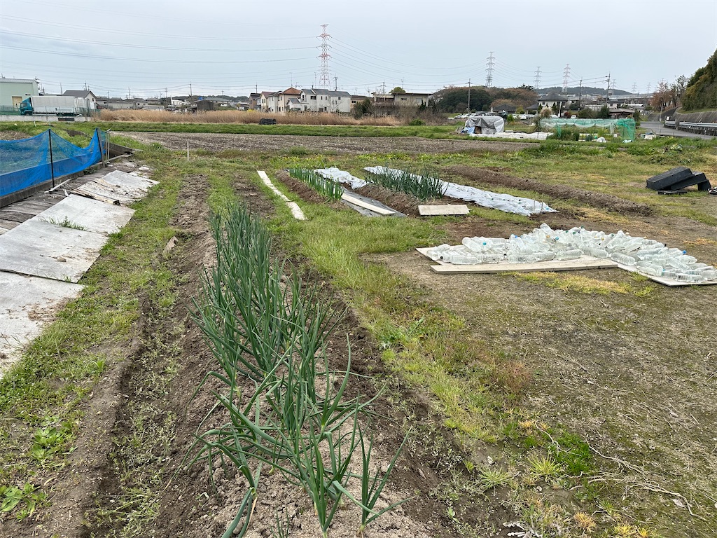 f:id:enaochannel:20260404114526j:image f:id:enaochannel:20260404114526j:image
