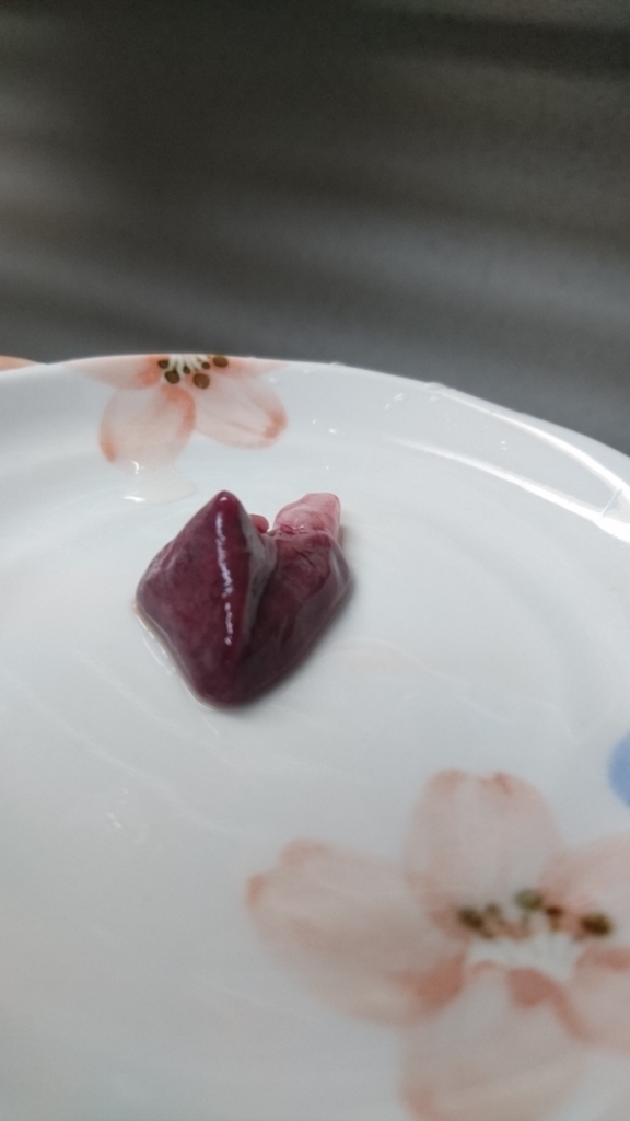 f:id:enasan2007:20171104231547j:plain