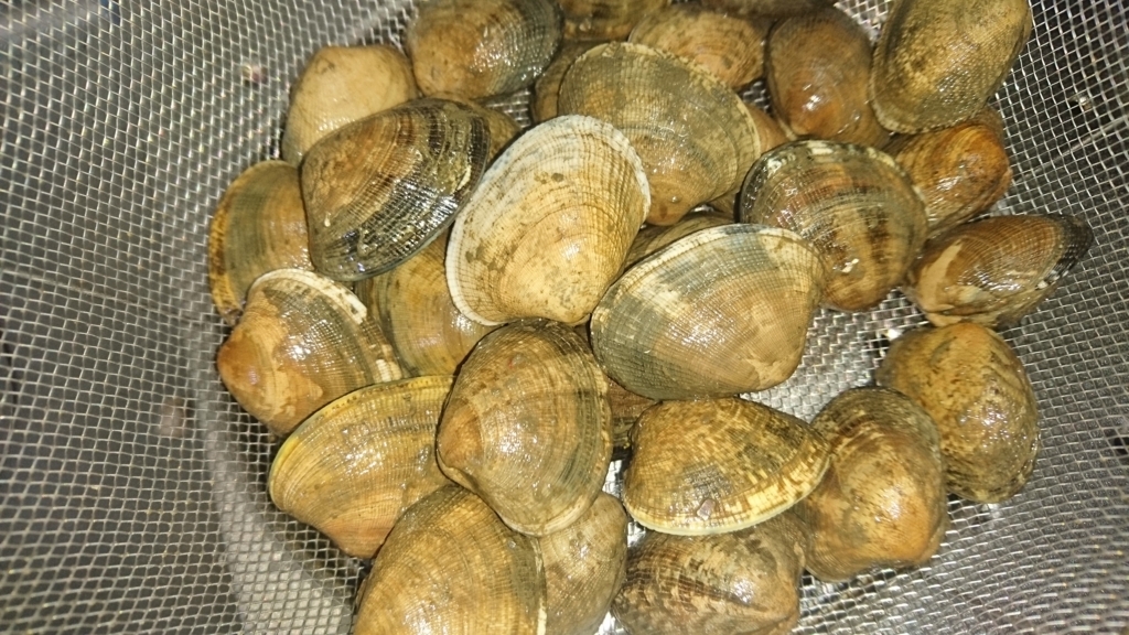 f:id:enasan2007:20180318151940j:plain
