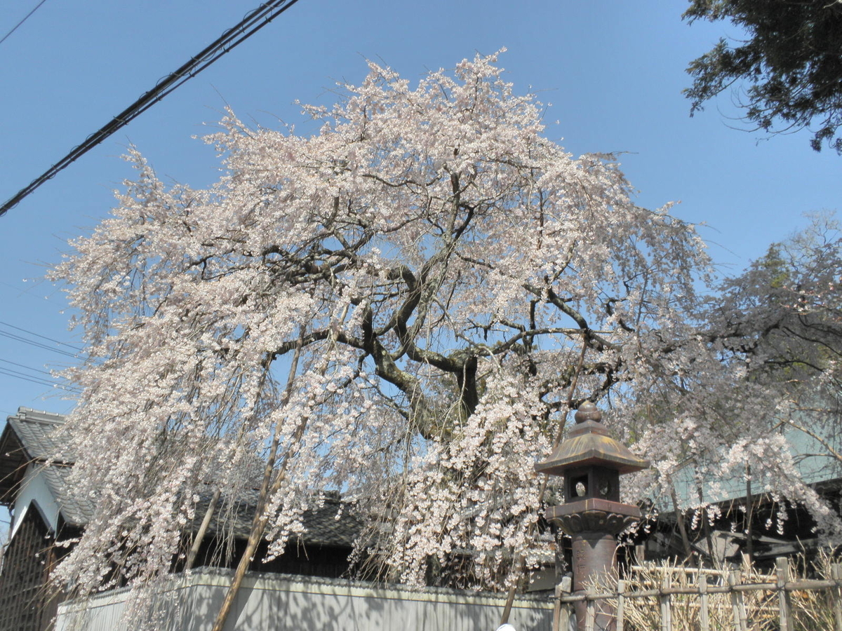 f:id:enasan2007:20190406221851j:plain f:id:enasan2007:20190406221851j:plain