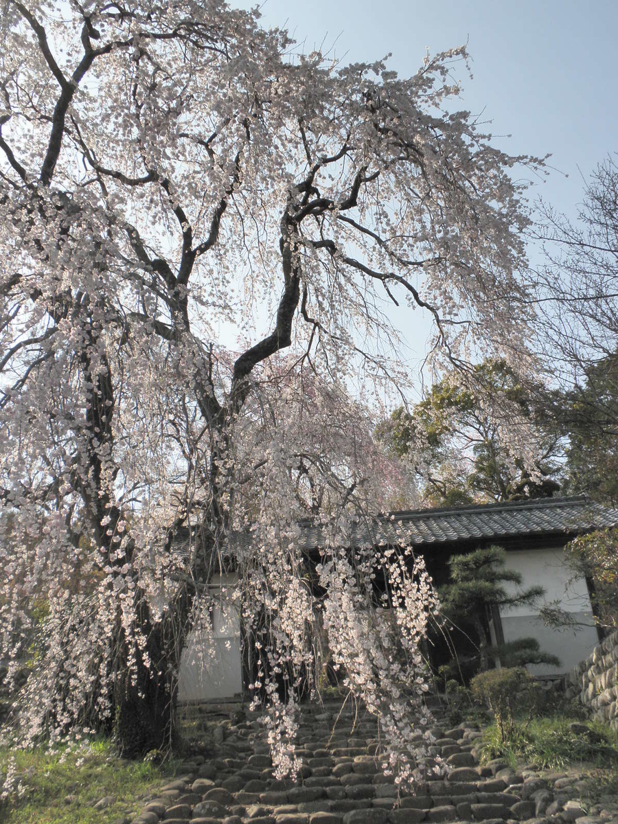 f:id:enasan2007:20190406224108j:plain f:id:enasan2007:20190406224108j:plain