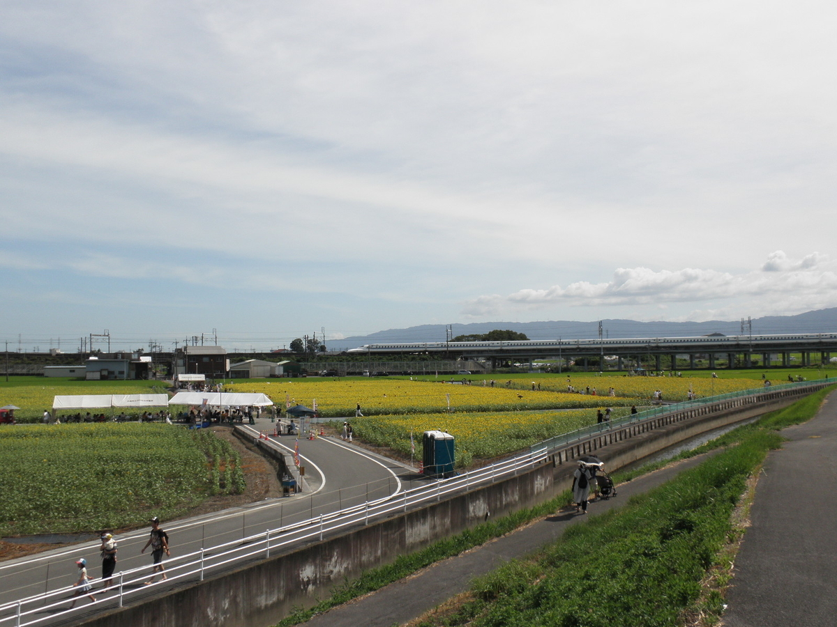 f:id:enasan2007:20190812224918j:plain f:id:enasan2007:20190812224918j:plain