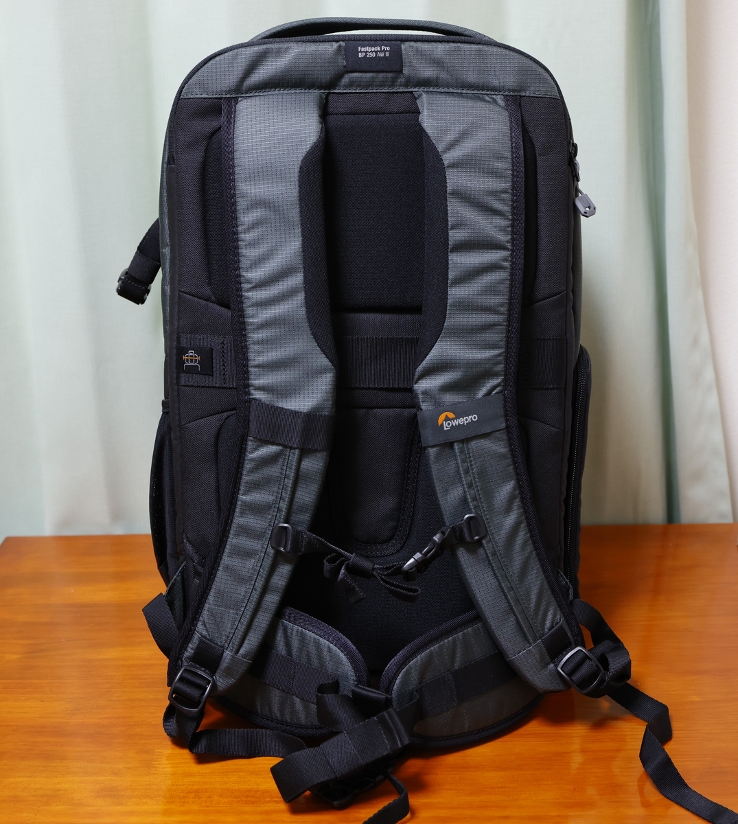 Amazon.com : Lowepro Grey Fast 250 AW III Mirrorless DSLR