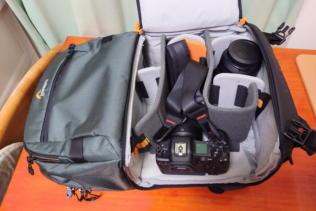 Lowepro ファストパック プロ BP250AW III - ぺこちゃんのブログ
