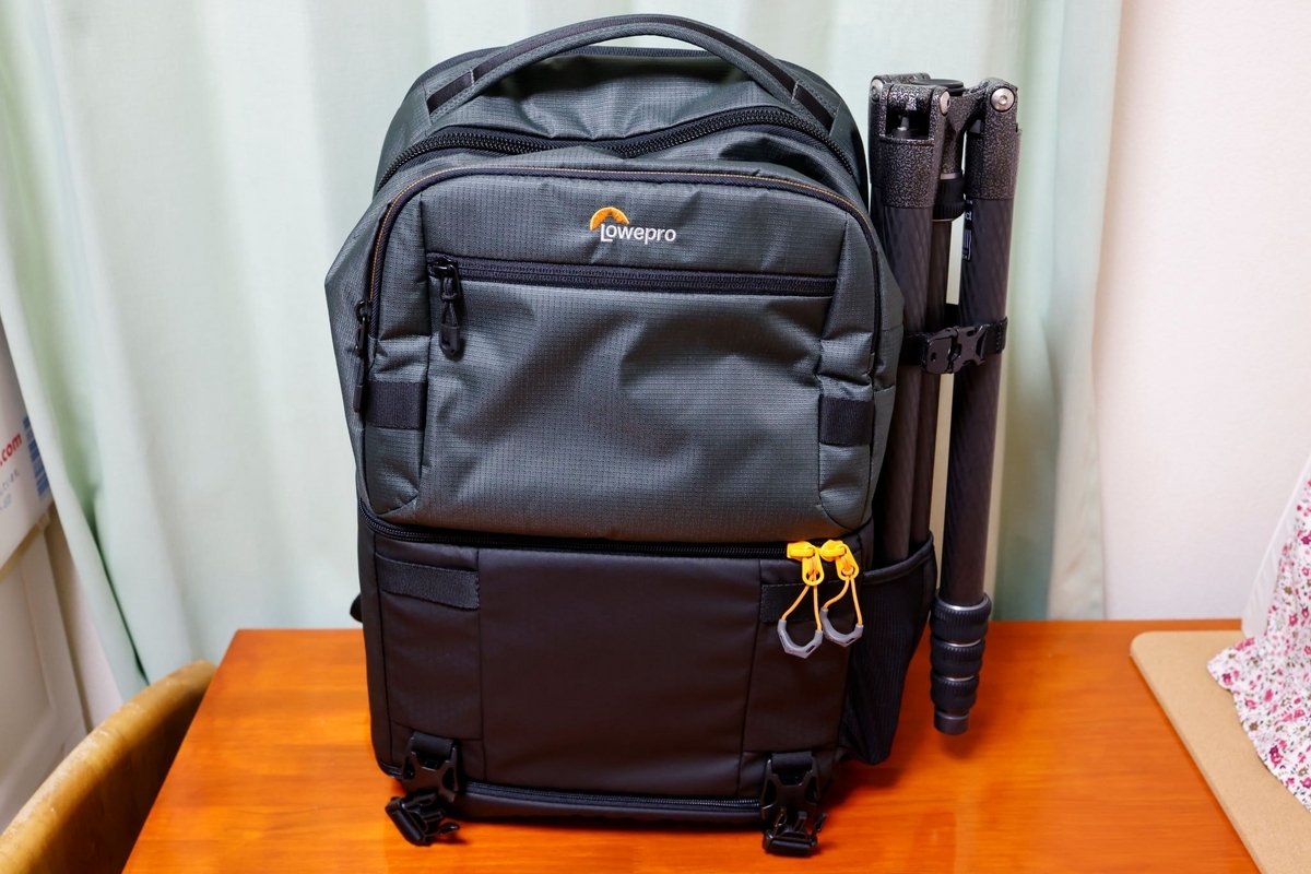 Amazon.com : Lowepro Grey Fast 250 AW III Mirrorless DSLR
