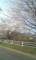 20080328082446