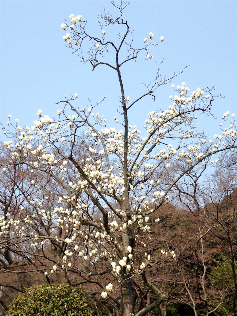 f:id:enchiko:20170320100622j:image f:id:enchiko:20170320100622j:image