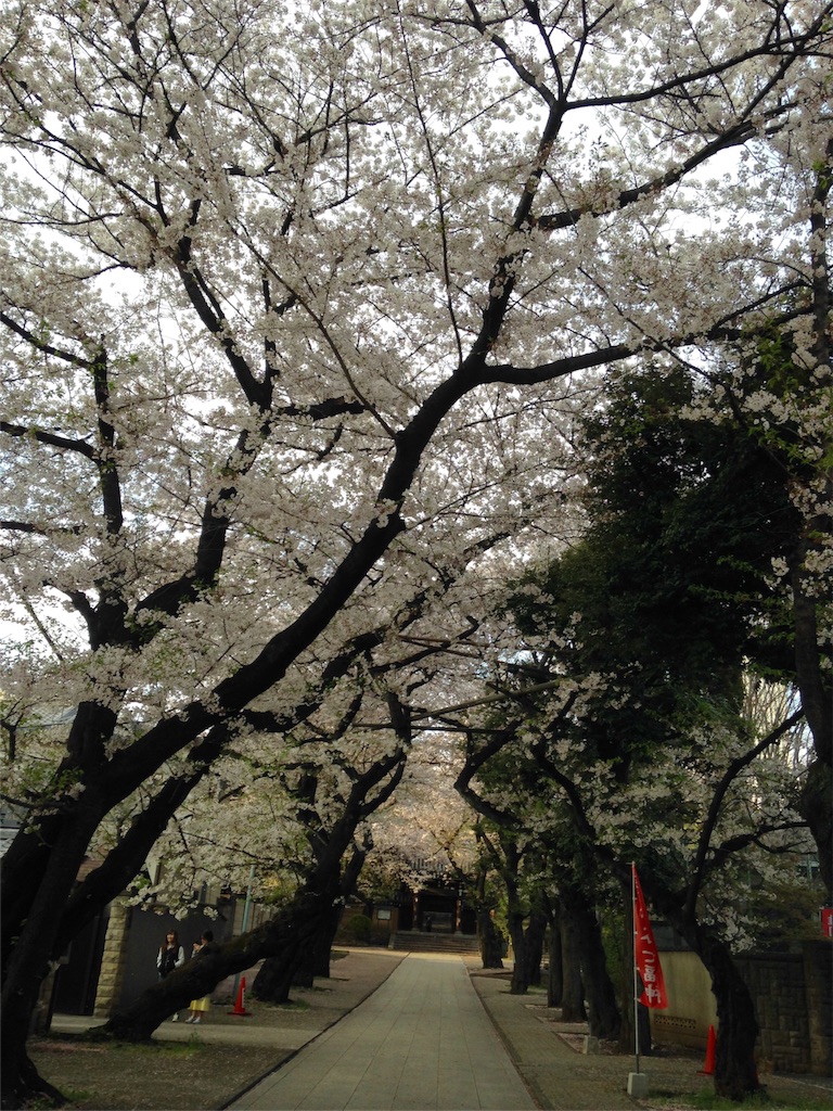 f:id:enchiko:20170412223348j:image f:id:enchiko:20170412223348j:image