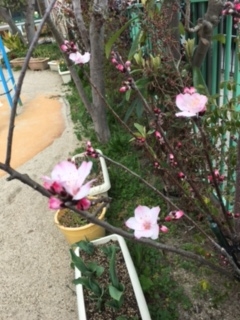 f:id:encho-sensei:20170326134700j:plain