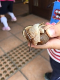 f:id:encho-sensei:20170419223630j:plain
