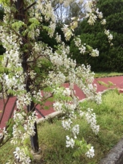 f:id:encho-sensei:20170427202754j:plain