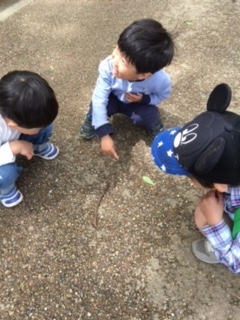 f:id:encho-sensei:20170427202809j:plain