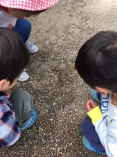 f:id:encho-sensei:20170427202810j:plain