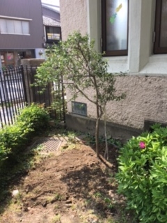 f:id:encho-sensei:20170430220409j:plain