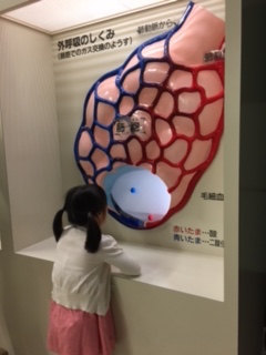 f:id:encho-sensei:20170704222639j:plain