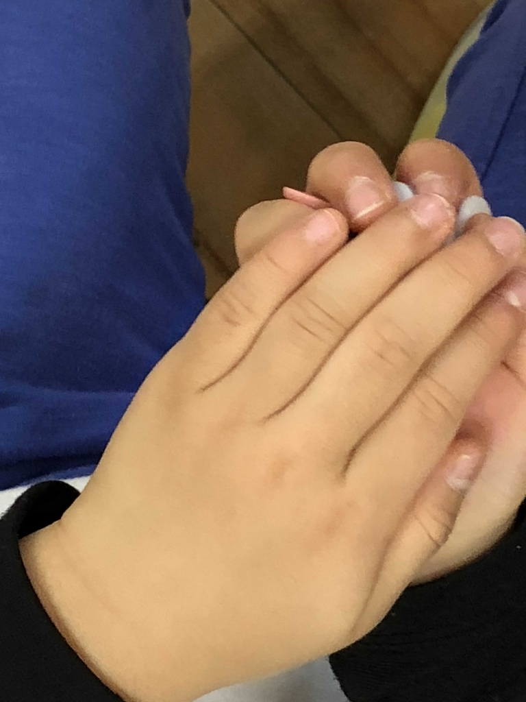 f:id:encho-sensei:20190201220217j:plain