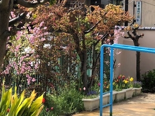 f:id:encho-sensei:20190411211159j:plain