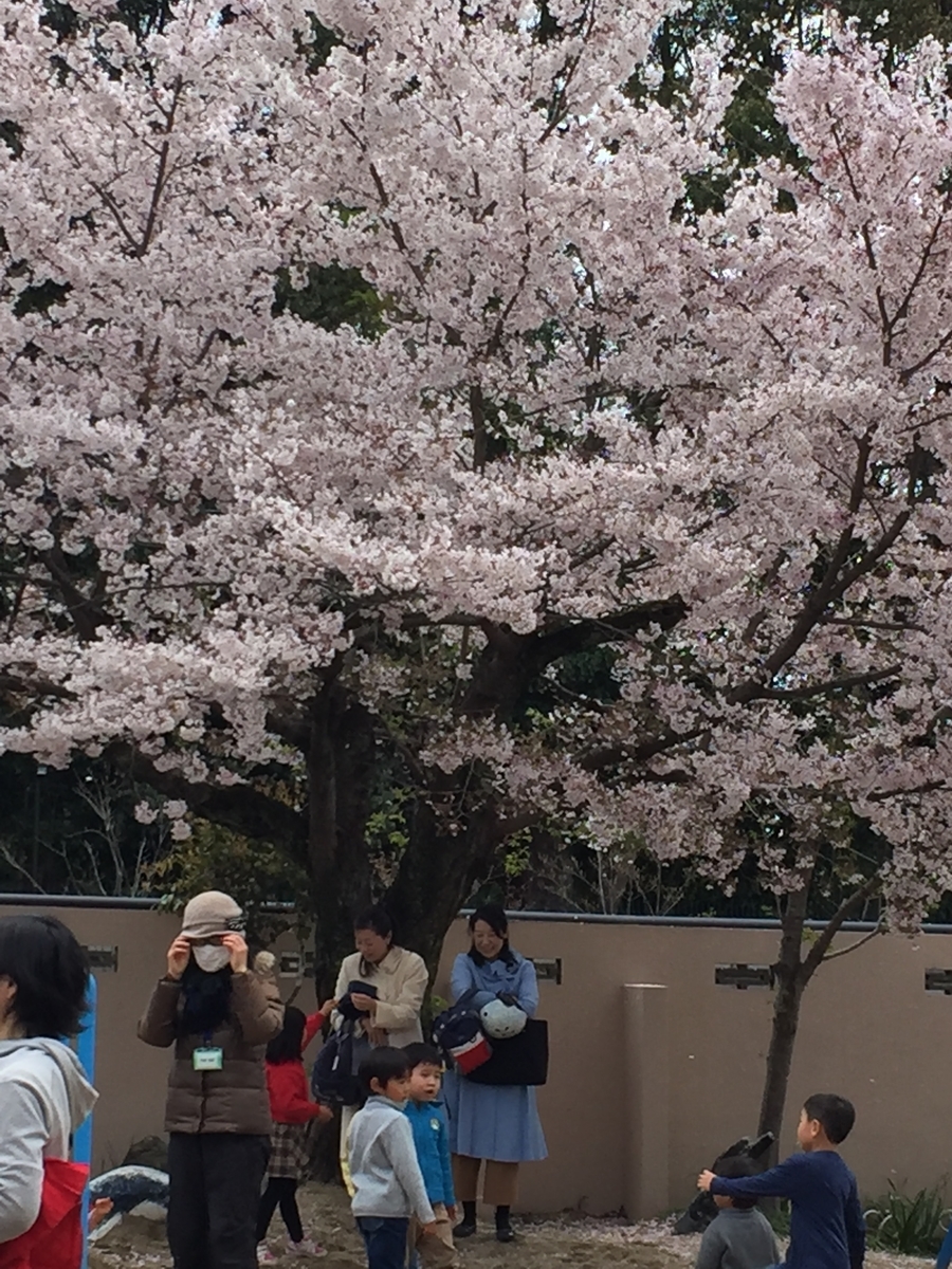 f:id:encho-sensei:20190411212018j:plain