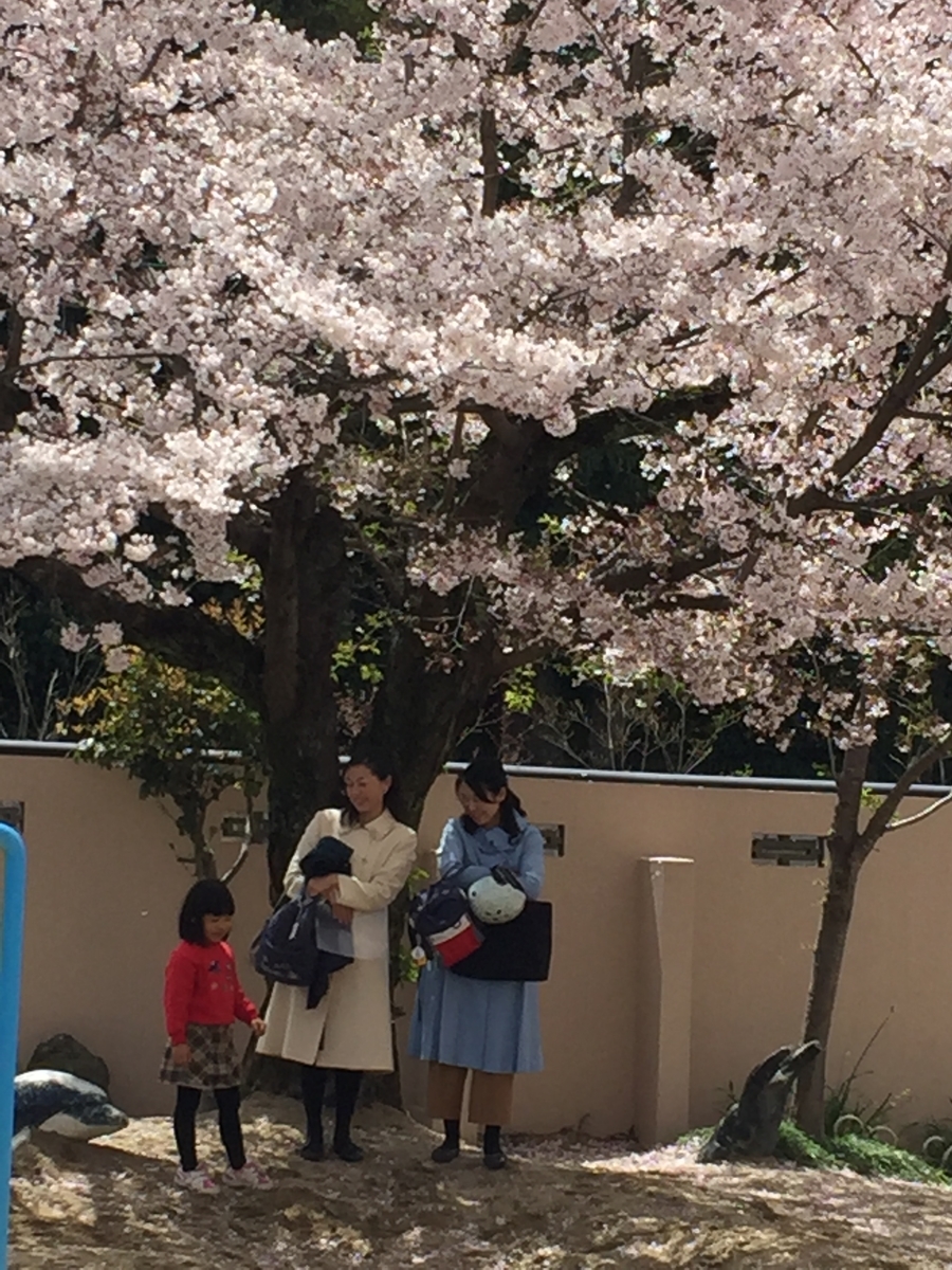 f:id:encho-sensei:20190411212025j:plain