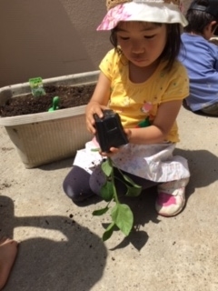 f:id:encho-sensei:20190516222309j:plain