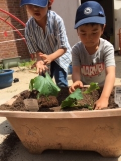 f:id:encho-sensei:20190516222353j:plain