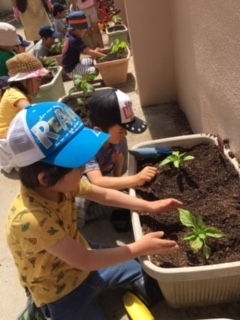 f:id:encho-sensei:20190516222413j:plain