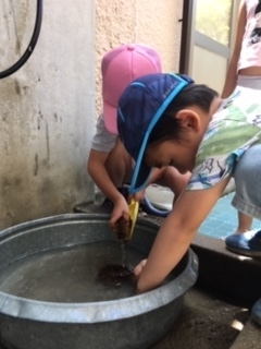 f:id:encho-sensei:20190516222453j:plain