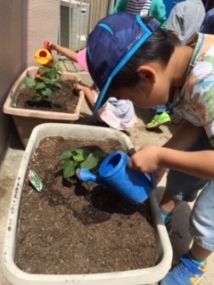 f:id:encho-sensei:20190516222521j:plain