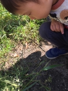 f:id:encho-sensei:20190523202551j:plain
