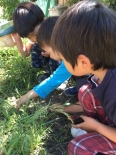 f:id:encho-sensei:20190523202554j:plain