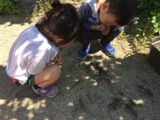 f:id:encho-sensei:20190523202558j:plain
