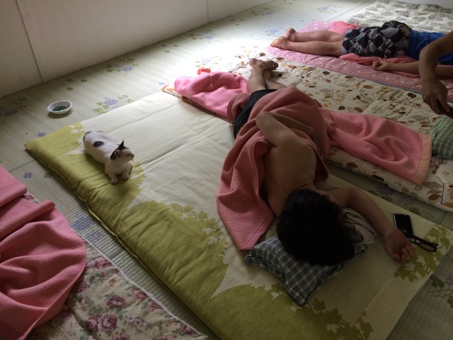 f:id:enchosu:20140902232207j:plain