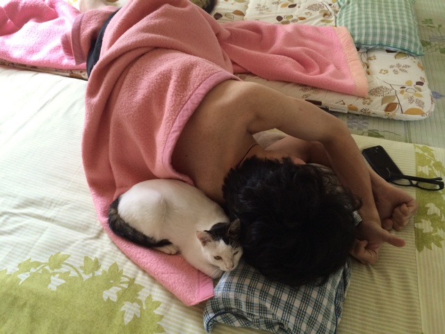 f:id:enchosu:20140902232322j:plain