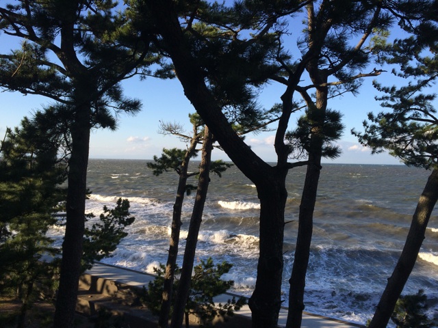 f:id:enchosu:20141117105838j:plain