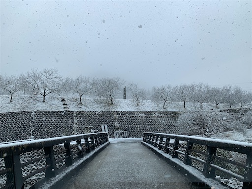 f:id:enchosu:20200421184907j:image