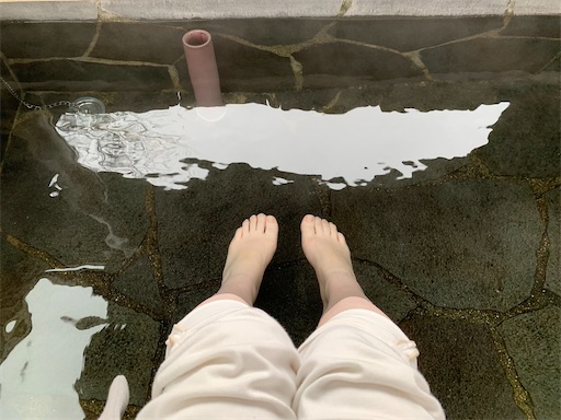 f:id:enchosu:20200421185137j:image