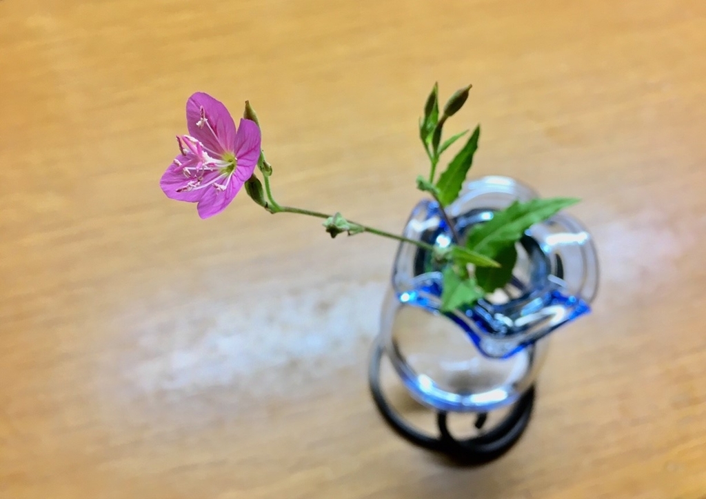 f:id:encyclopediaofweeds:20181214152303j:plain