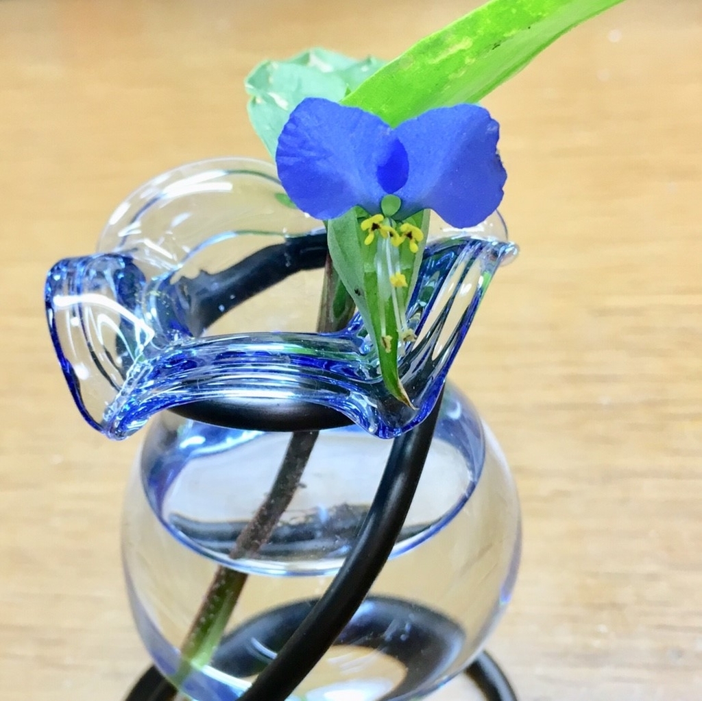 f:id:encyclopediaofweeds:20181214154754j:plain
