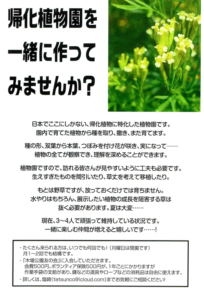 f:id:encyclopediaofweeds:20201026013440j:plain