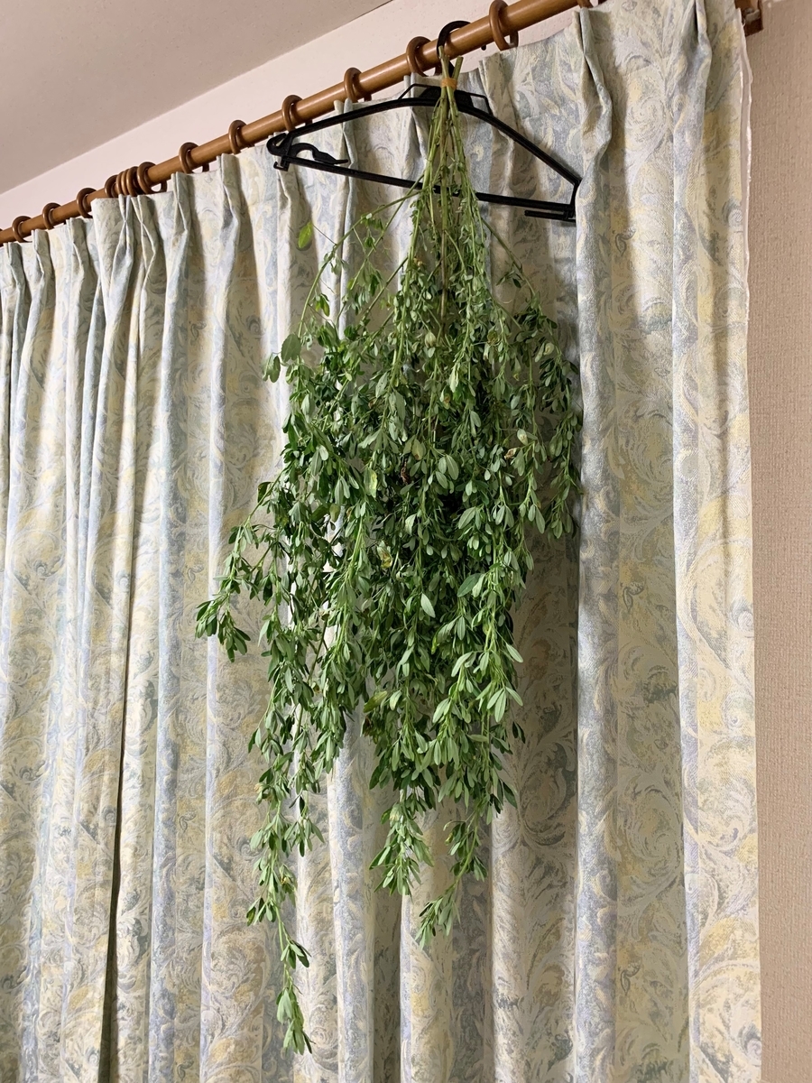 f:id:encyclopediaofweeds:20210805001157j:plain