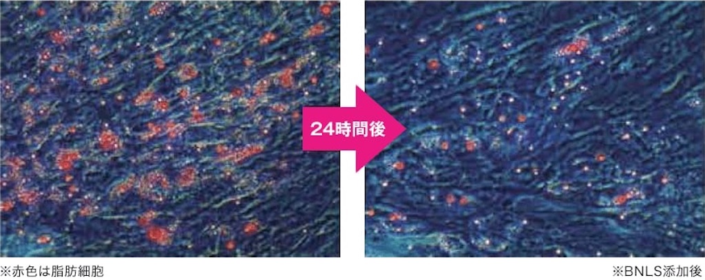 f:id:end_of_line:20220128122932j:image