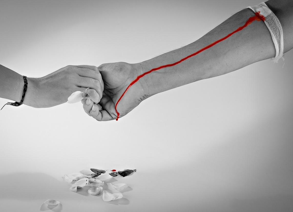 f:id:end_of_multi:20200219194953j:plain